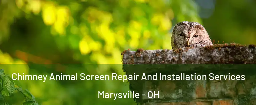  Chimney Animal Screen Repair And Installation Services Marysville - OH