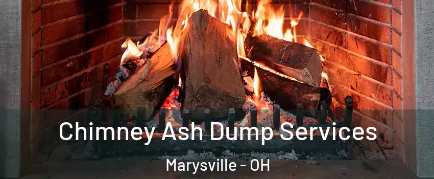  Chimney Ash Dump Services Marysville - OH
