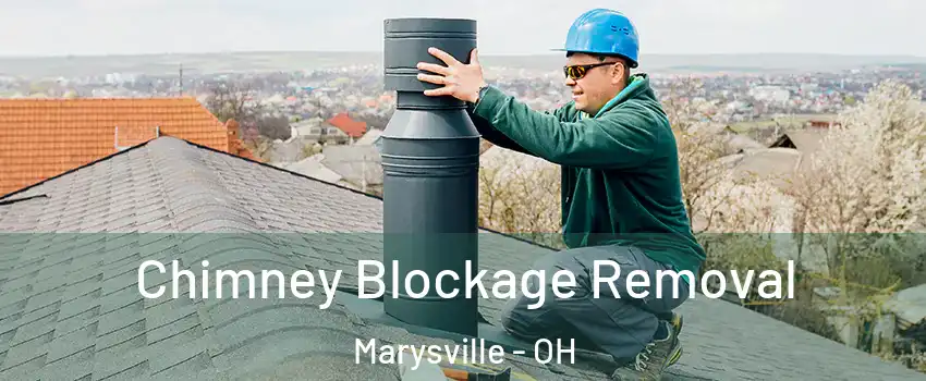  Chimney Blockage Removal Marysville - OH