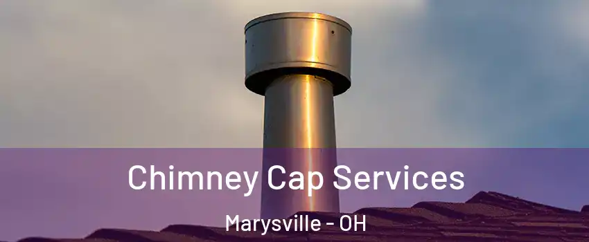  Chimney Cap Services Marysville - OH