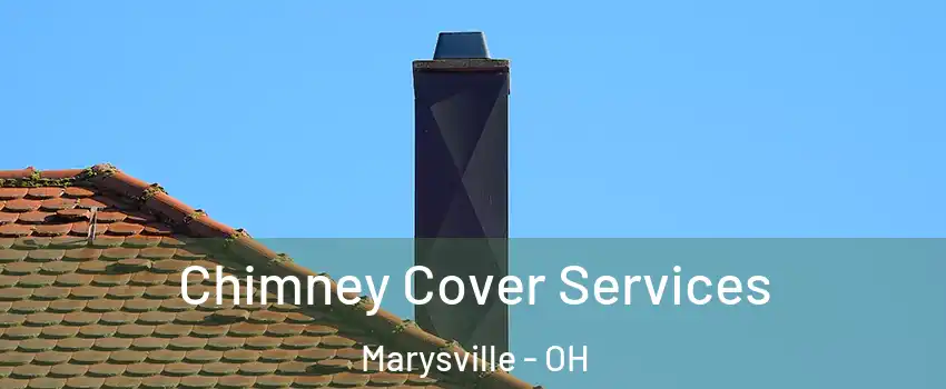  Chimney Cover Services Marysville - OH