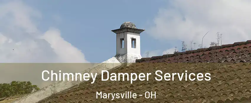  Chimney Damper Services Marysville - OH