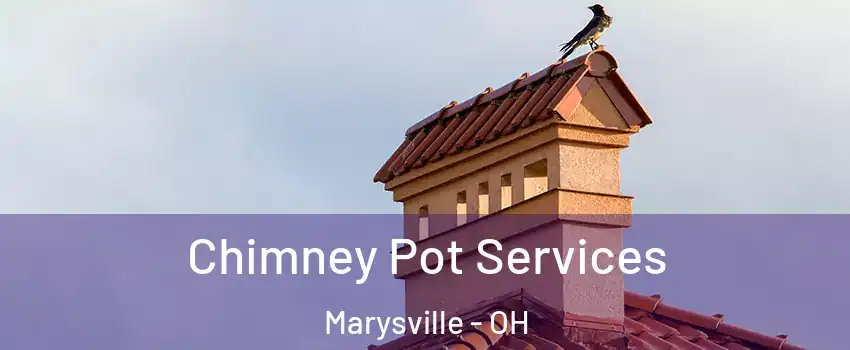  Chimney Pot Services Marysville - OH