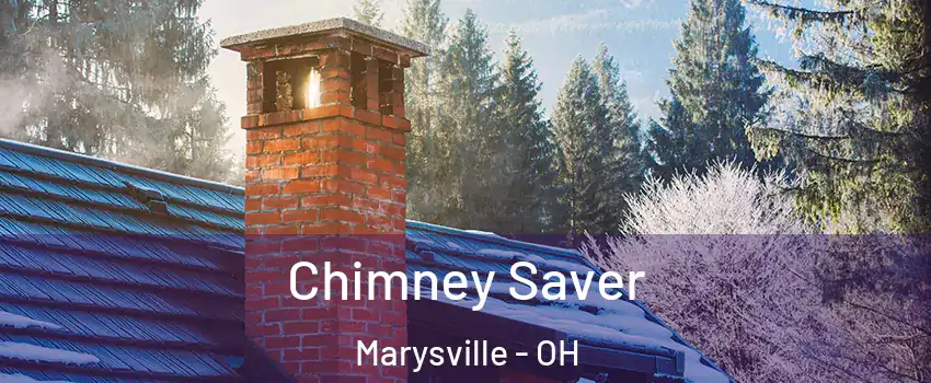  Chimney Saver Marysville - OH