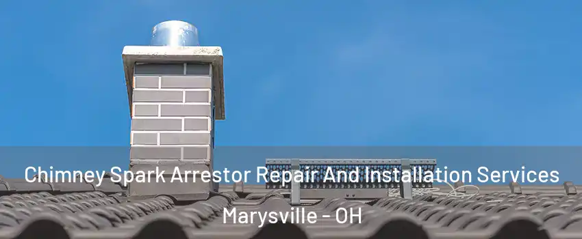 Chimney Spark Arrestor Repair And Installation Services Marysville - OH