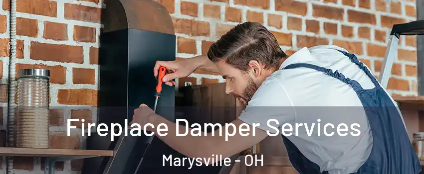  Fireplace Damper Services Marysville - OH