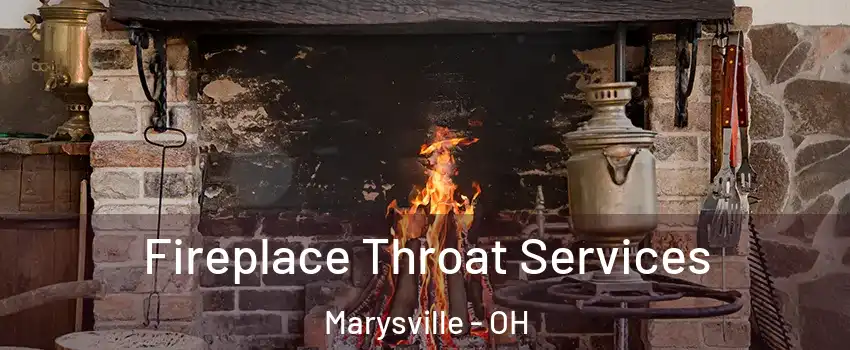  Fireplace Throat Services Marysville - OH
