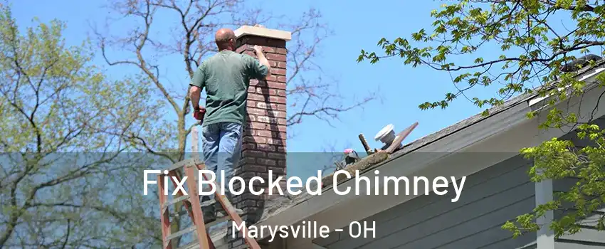 Fix Blocked Chimney Marysville - OH