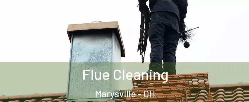  Flue Cleaning Marysville - OH