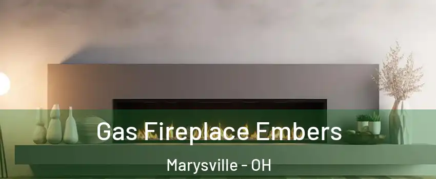  Gas Fireplace Embers Marysville - OH