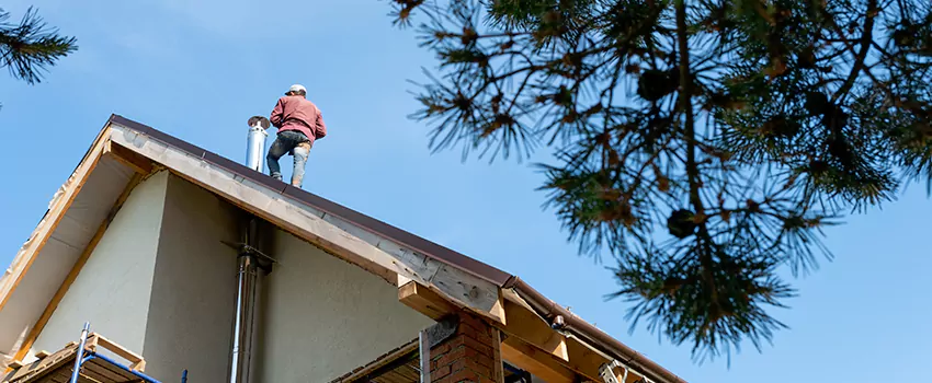 Birds Removal Contractors from Chimney in Marysville, OH