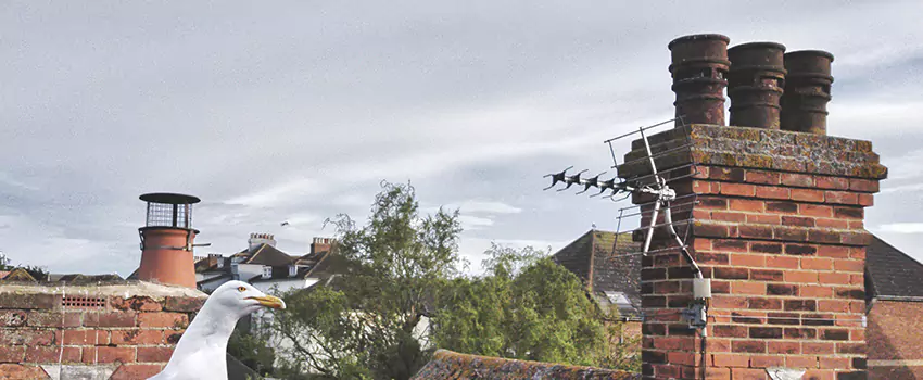 Chimney Cleaning And Restoration in Marysville, Ohio