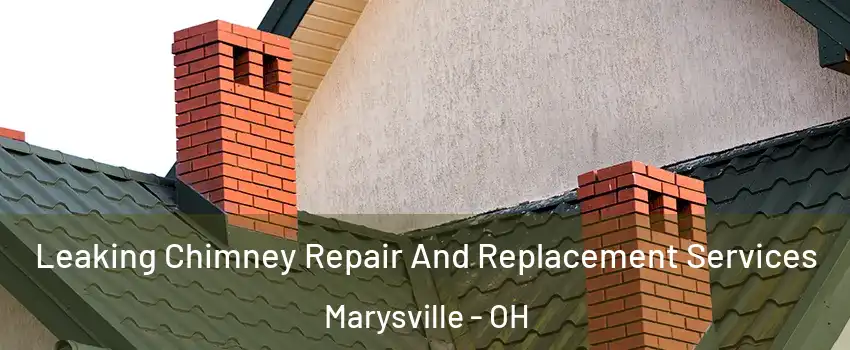  Leaking Chimney Repair And Replacement Services Marysville - OH