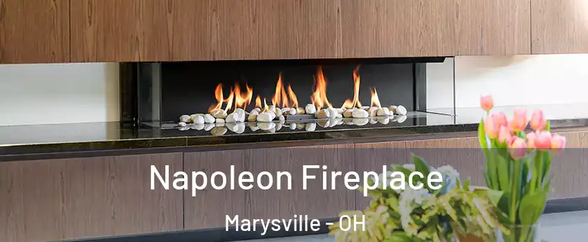  Napoleon Fireplace Marysville - OH
